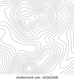 Vector topographic map background. Business concept. Abstract vector illustration