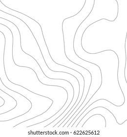 Vector topographic map background. Business concept. Abstract vector illustration