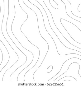 Vector topographic map background. Business concept. Abstract vector illustration