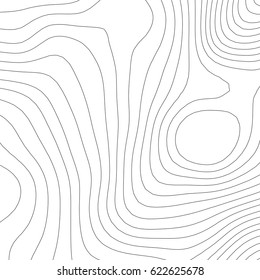 Vector topographic map background. Business concept. Abstract vector illustration
