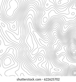 Vector topographic map background. Business concept. Abstract vector illustration