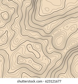 Vector topographic map background. Business concept. Abstract vector illustration
