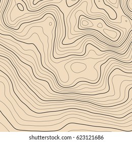 Vector topographic map background. Business concept. Abstract vector illustration
