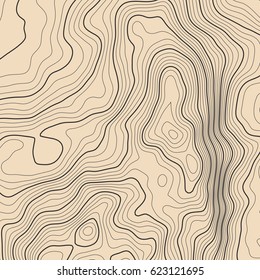 Vector topographic map background. Business concept. Abstract vector illustration
