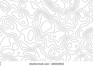 Vector topographic map background. Business concept. Abstract vector illustration
