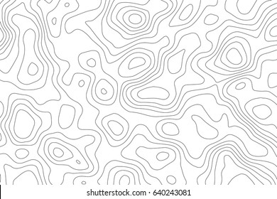 Vector topographic map background. Business concept. Abstract vector illustration
