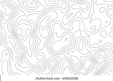 Vector topographic map background. Business concept. Abstract vector illustration
