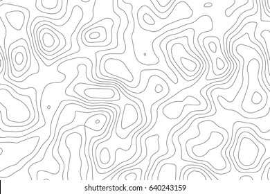 Vector topographic map background. Business concept. Abstract vector illustration
