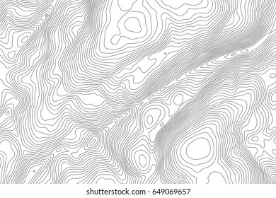 Vector topographic map background. Business concept. Abstract vector illustration