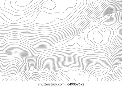 Vector topographic map background. Business concept. Abstract vector illustration