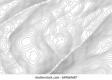 Vector topographic map background. Business concept. Abstract vector illustration