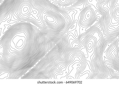 Vector topographic map background. Business concept. Abstract vector illustration