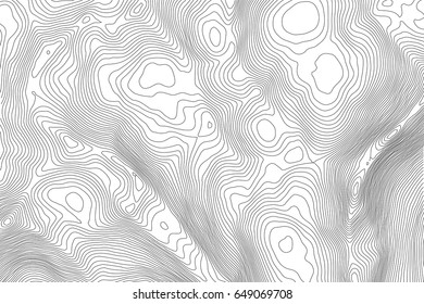 Vector topographic map background. Business concept. Abstract vector illustration