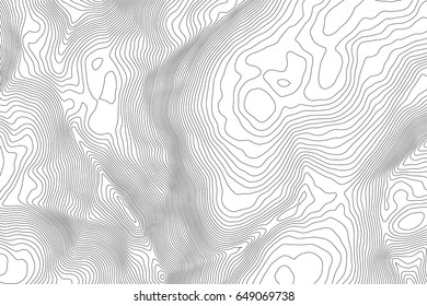 Vector topographic map background. Business concept. Abstract vector illustration
