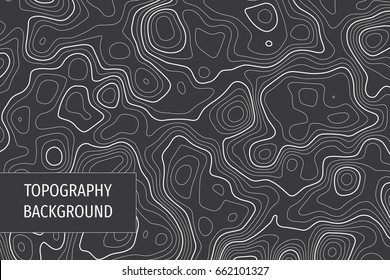 Vector topographic map background. Business concept. Abstract vector illustration
