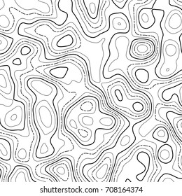 Vector topographic map background. Business concept. Abstract vector illustration