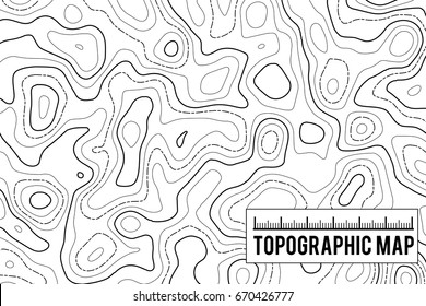 Vector topographic map on white background with space for your copy. Topographical pattern. Business concept. Abstract vector illustration