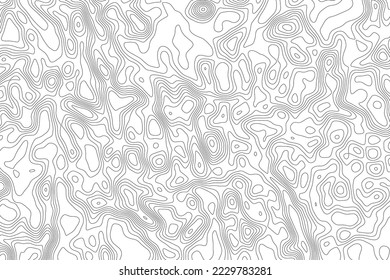 Vector topographic mp background.Shape contour line map of the terrain.