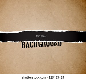 Vector torn cardboard paper background