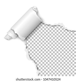 Vector torn hole of lower right corner of the white sheet of paper with paper curl and transparent background of the resulting window. Template paper design.