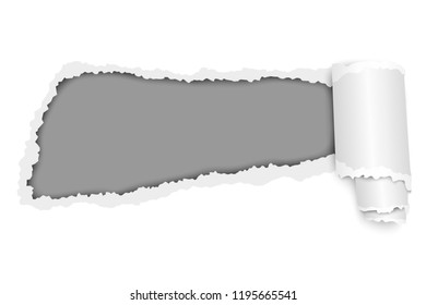 Vector torn hole in sheet of bright white paper with soft shadow, paper curl and gray background. Paper mockup illustration.