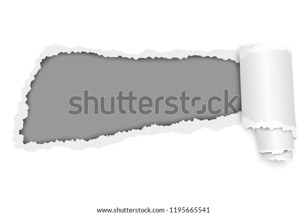 Vector torn hole in sheet of bright white\
paper with soft shadow, paper curl and gray background. Paper\
mockup illustration.