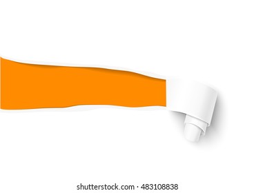 Vector torn paper background. Banner with space for text. Blank paper template with paper roll