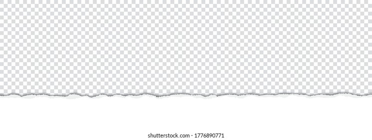 vector torn paper with ripped edges with space for your text	
