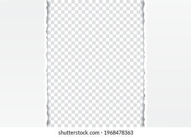 vector torn paper with ripped edges with space for your text