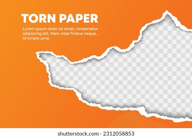 Tiras de papel con vectores rotos en una posición única con un lugar de transparencia para su diseño