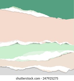 Vector torn paper in trendy colors