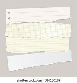 Vector torn pieces of paper.