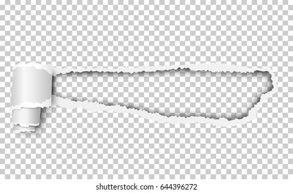 Vector torn transparent checkered sheet of paper with soft shadow and curl. Template paper design.