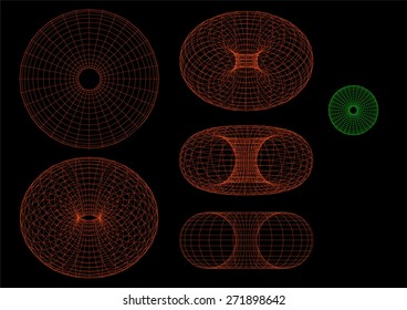 Vector Torus