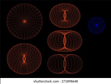 Vector Torus