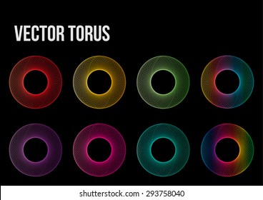 Vector Torus