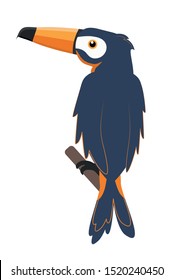 Vector of toucan birb design on white background. Wild Animals.