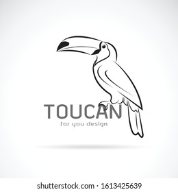 Vector of toucan birb design on white background. Wild Animals. Easy editable layered vector illustration.