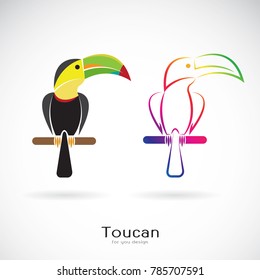 Vector of toucan bird design on white background. Wild Animals. Easy editable layered vector illustration.