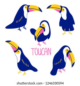 vector toucan bird element set on white childish simple  cute pattern for you design paper for kids
