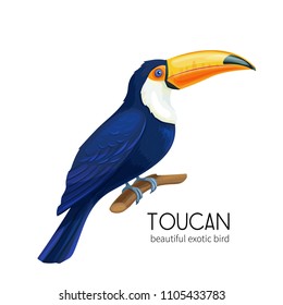 Vector toucan. Exotic tropical bird sitting on branch. Bright illustration cartoon style for summer tropical paradise advertising vacation design.