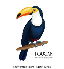 Vector toucan. Exotic tropical bird sitting on branch. Bright illustration cartoon style for summer tropical paradise advertising vacation design.