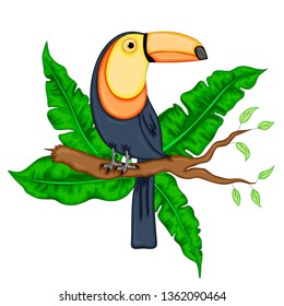 Vector toucan. Exotic tropical bird sitting on branch