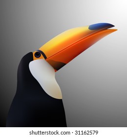 vector toucan illustration