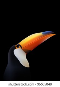 vector toucan illustration