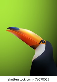 vector toucan illustration