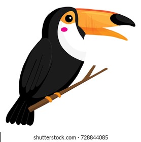 Vector toucan illustration on white background
