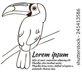 Vector toucan isolated on the white background.