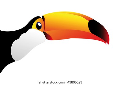 vector toucan isolated on white background - you can cut this image and use it for your images