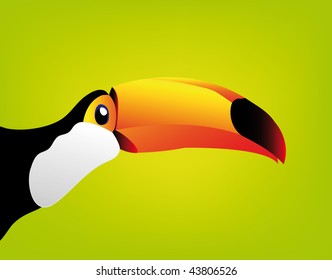 vector toucan isolated on white background - you can cut this image and use it for your images